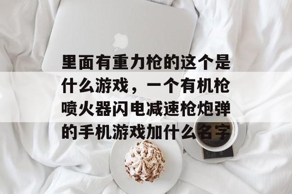 里面有重力枪的这个是什么游戏,一个有机枪喷火器闪电减速枪炮弹的手机游戏加什么名字 里面有重力枪的这个是什么游戏,一个有机枪喷火器闪电减速枪炮弹的手机游戏加什么名字