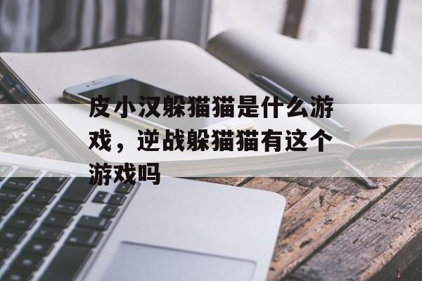 皮小汉躲猫猫是什么游戏,逆战躲猫猫有这个游戏吗 皮小汉躲猫猫是什么游戏,逆战躲猫猫有这个游戏吗