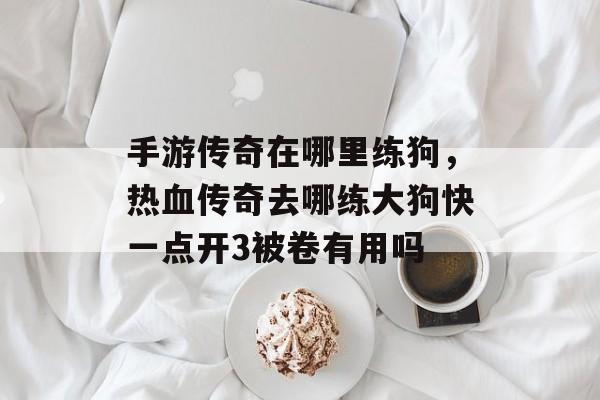 手游传奇在哪里练狗,热血传奇去哪练大狗快一点开3被卷有用吗 手游传奇在哪里练狗,热血传奇去哪练大狗快一点开3被卷有用吗