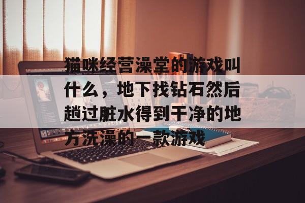 猫咪经营澡堂的游戏叫什么,地下找钻石然后趟过脏水得到干净的地方洗澡的一款游戏 猫咪经营澡堂的游戏叫什么,地下找钻石然后趟过脏水得到干净的地方洗澡的一款游戏