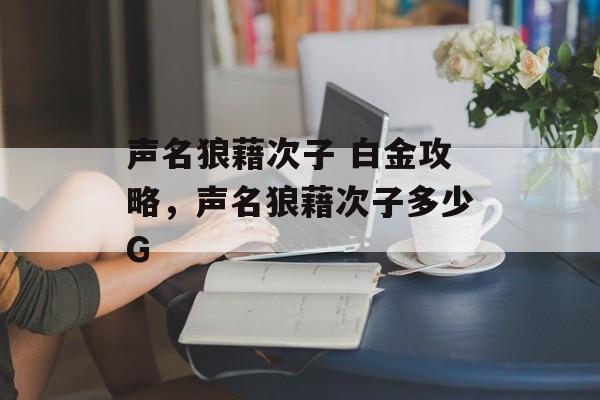 声名狼藉次子 白金攻略,声名狼藉次子多少G 声名狼藉次子 白金攻略,声名狼藉次子多少G