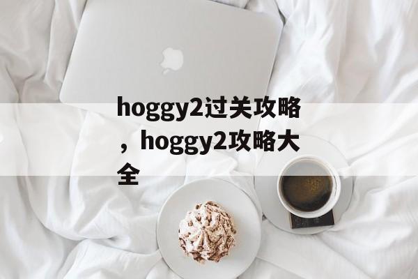 hoggy2过关攻略,hoggy2攻略大全 hoggy2过关攻略,hoggy2攻略大全