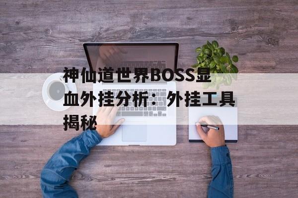 神仙道世界BOSS显血外挂分析:外挂工具揭秘