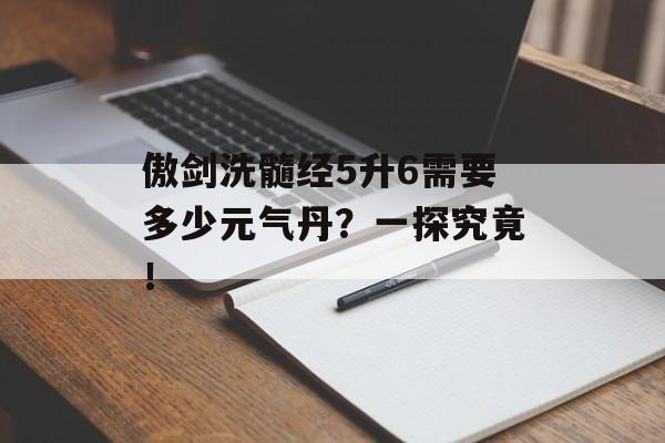 傲剑洗髓经5升6需要多少元气丹？一探究竟！