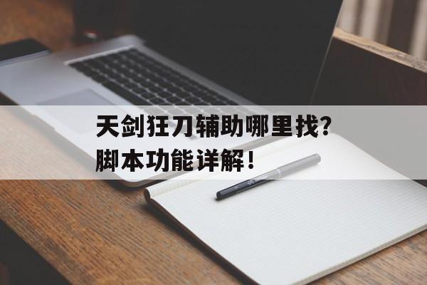 天剑狂刀辅助哪里找？脚本功能详解！