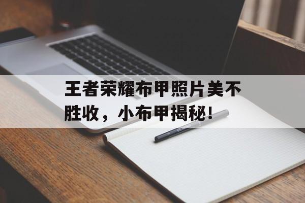 王者荣耀布甲照片美不胜收，小布甲揭秘！
