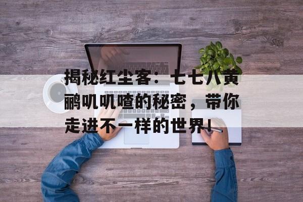 揭秘红尘客：七七八黄鹂叽叽喳的秘密，带你走进不一样的世界！